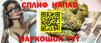 мет Можга