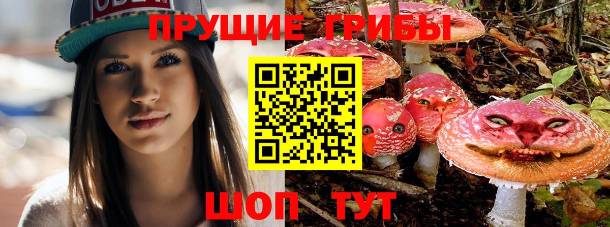Вичуга  Псилоцибиновые грибы мухоморы  Вход с VPN 