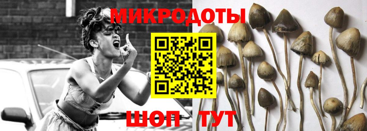 Галлюциногенные грибы MAGIC MUSHROOMS Вичуга